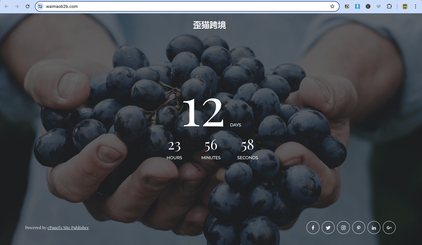 图片[7]-Site Publisher 单页面网站创建工具 | 歪猫跨境 | WaimaoB2C-歪猫跨境 | WaimaoB2C