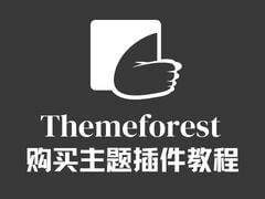 Themeforest 上主题购买及安装教程-歪猫跨境 | WaimaoB2C