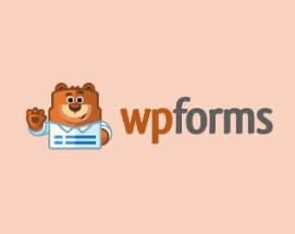 Wpforms安装设置教程 | WooCommerce | 歪猫跨境 | WaimaoB2C-歪猫跨境 | WaimaoB2C
