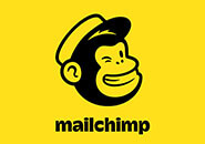使用Mailchimp给你的网站添加收集邮箱地址的弹窗 | 歪猫跨境 | WaimaoB2C-歪猫跨境 | WaimaoB2C