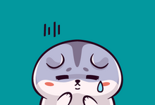 提高独立站流量和订单数量的几种方法-歪猫跨境 | WaimaoB2C