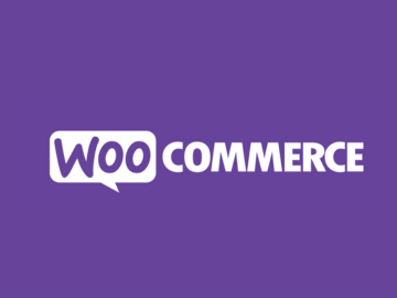 WooCommerce 重要安全更新 8.9.3 以应对最新漏洞 | 歪猫跨境 | WaimaoB2C-歪猫跨境 | WaimaoB2C
