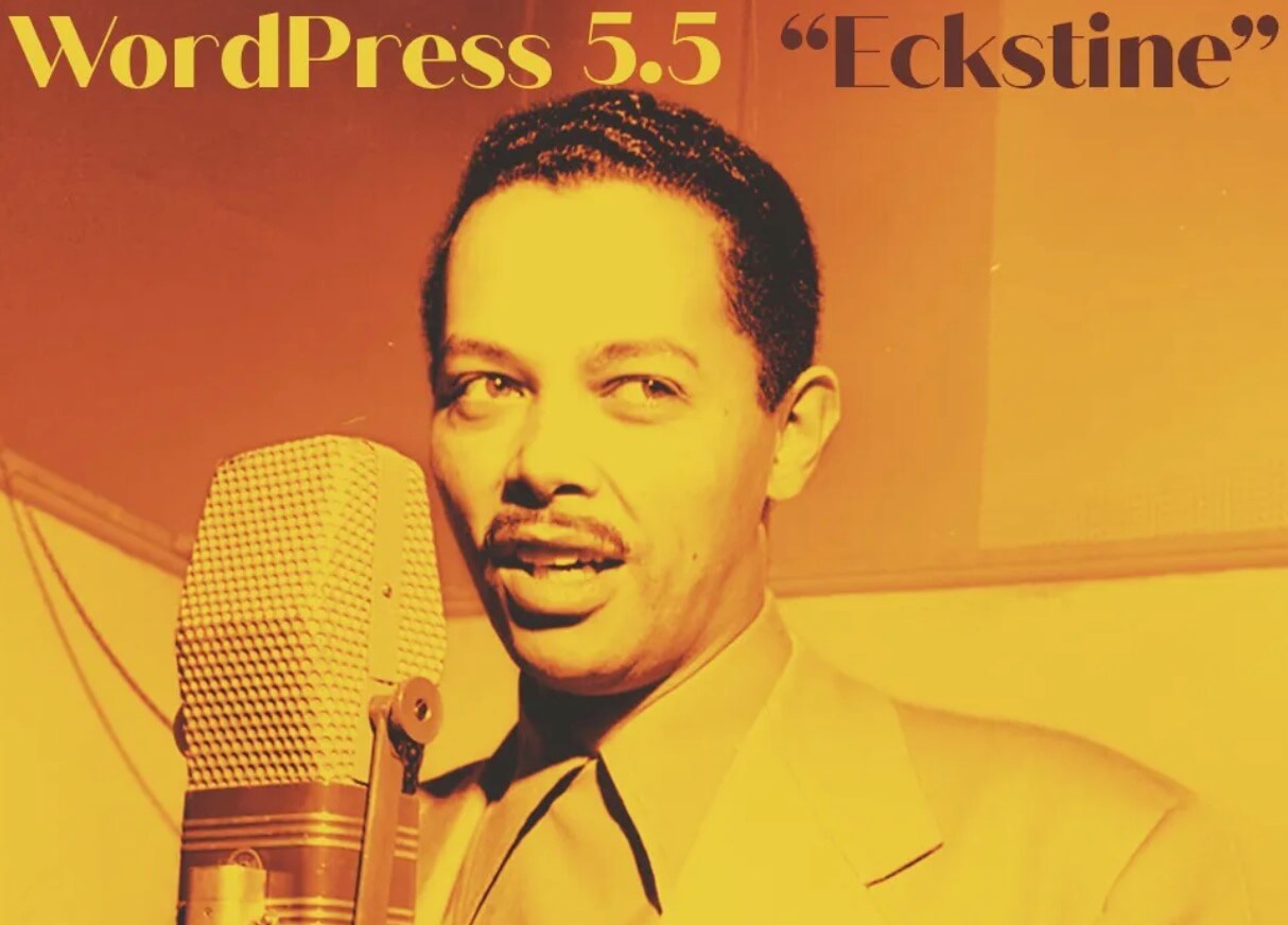 Wordpress 5.5 重要更新 - 自带XML站点地图,图片延迟加载,自动更新主题插件-歪猫跨境 | WaimaoB2C